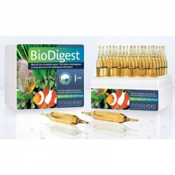 Prodibio BioDigest - 1 ampoule