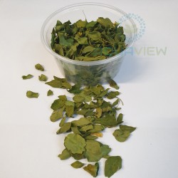 Moringa leaves 80ml - 5 cups
