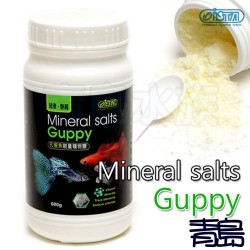 ISTA GUPPY MINERAL SALTS 600g