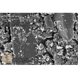 PLATINIUM SOIL SUPER POWDER SUBSTRATE  1l 0,6-1,6 mm