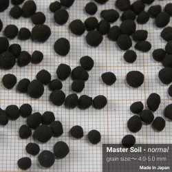 Master Soil Normal 3l  4-5mm