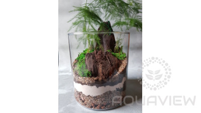 Forest in the jar 20x18 cm