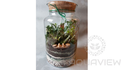 Forest in the jar 30x18cm